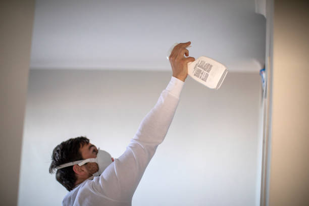 Best Mold Testing  in Crockett, CA