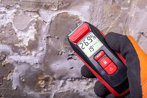Reliable Crockett, CA Mold Removal Solutions