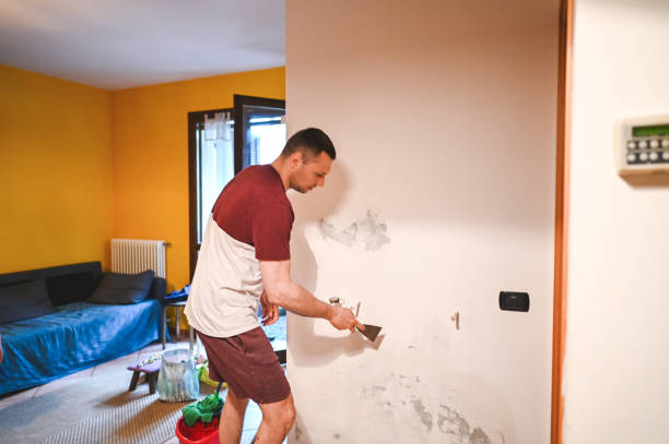 Best Certified Mold Removal  in Crockett, CA